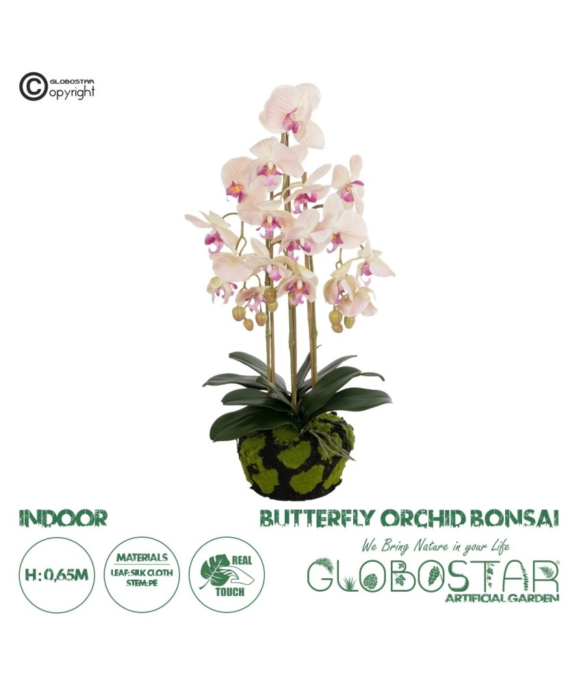 GloboStar® Artificial Garden BUTTERFLY ORCHID BONSAI 21400 Τεχνητό Διακοσμητικό Φυτό Ορχιδέα Μ34 x Π27 x Υ65cm